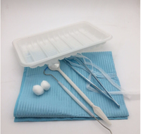 Kit d'examen dentaire jetable personnalisé en plastique Produits d'hygiène buccale de bonne qualité pour les soins dentaires