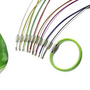 YIWANG Senderismo al aire libre Color Alambre de acero inoxidable Llavero Cable Llavero - Product Image 2