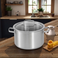 XYL 304 Cuisinière à induction à double oreille en acier inoxydable de qualité alimentaire Cuisine à domicile Marmite à laver les marmites à soupe