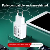 Cargador USB-C de Pared Shenzhen Lvxiangyuan de 5W, Adaptador de 5V 1A para Teléfono Android, Auriculares, Cámara, con Certificación CE, RoHS, ERP y REACH