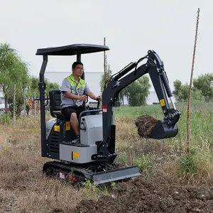 True Hydraulic Mini Excavator all in on Trailer China micro excavadora 1 Ton 1,2 Ton Digger Proveedores