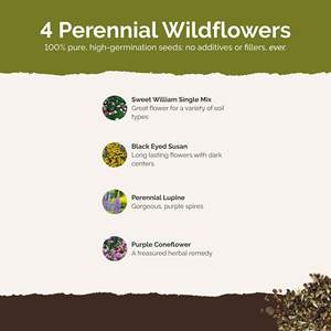 1/<span class=keywords><strong>4</strong></span> Lb Biodegradable Verano Perenne Sucesión Flor Planta Fibra mixta para jardinería 120.000 + - Product Image 2