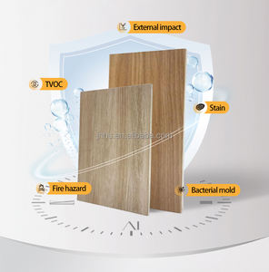 Revêtement Mural en PVC pour Hôpitaux et Unités de Soins Intensifs - Product Image 6