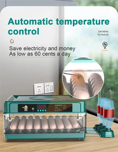 Инкубатор для куриных яиц - Product Image 6