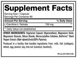 Ausreson Vegan <span class=keywords><strong>L</strong></span>-carnitina creatina monoidrato Pre allenamento prodotti integratori per dimagrire gommosi tè verde <span class=keywords><strong>l</strong></span> carnitina - Product Image 2