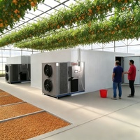 Industriële droogmachine voor kokosnoot, aardappel, tomaat, mango, beef jerky, fruit en groenten van het merk Hello River.