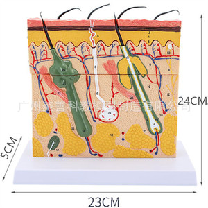 ,, - Product Image 4