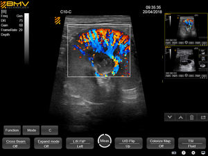 Bmv PT50C teknologi canggih layar sentuh portabel dokter hewan Aria peralatan <span class=keywords><strong>Ultrasound</strong></span> untuk hewan peliharaan rumah sakit klinis kucing anjing - Product Image 4