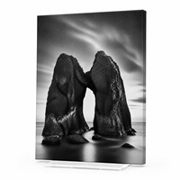 Impression sur toile personnalisée de paysage, art mural résistant à la décoloration, décoration photographique noir et blanc pour galerie