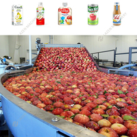 1 ~ 25 Ton/Uur Kant-En-Klare Project Automatische Complete Industriële Sappersmachine Voor Appel