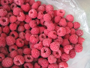 Cheap Price <strong>Frozen</strong> <strong>Raspberries</strong> <strong>Raspberry</strong> <strong>IQF</strong> Fruits with Good Quality for Wholesale - Product Image 2
