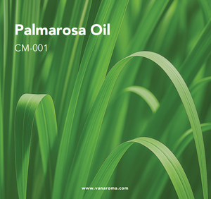 Esencia Naturalis, Aceite Esencial de Palmarosa Puro, Natural, Sin Diluir, de Grado Terapéutico, para el Cuidado de la Piel y Aromaterapia - Product Image 1