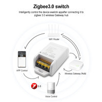Módulo de Relé Inteligente Zigbee de 30A y 6600W, CA 85-265V, Interruptor de Control Remoto para Automatización del Hogar, Compatible con Alexa y Google Hub