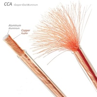 Câble audio professionnel torsadé transparent pour haut-parleur, avec fiches bananes dorées, câble coaxial pour microphone de voiture