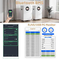 Paquete de Baterías LiFePO4 de 48V 100Ah 300Ah con Ecualizador Activo, 15Kwh, Más de 6000 Ciclos, BMS RS485 CAN, Almacenamiento de Energía Doméstica, Batería de Litio de 51.2V