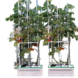 Machine de culture hors-sol pour balcon la plus vendue, idéale pour la culture de fruits et légumes (tomates, concombres, poivrons). - Product Image 5