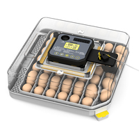 Mesin penetasan telur otomatis WONEGG Hot Sale dengan kontrol kelembapan mini untuk 48 telur