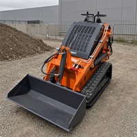 Chargeuse compacte T480 de haute qualité, modèle populaire, neuve, avec accessoires en option, à vendre