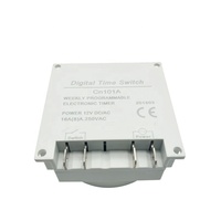 Temporizador Digital CN101A de 12V, 24V, 220V, temporizador, 7 días, programable semanalmente, programador de relé, batería recargable integrada