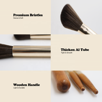 Échantillons gratuits de haute qualité manche en bois mini ensemble de pinceaux de maquillage portable 9 pièces en gros