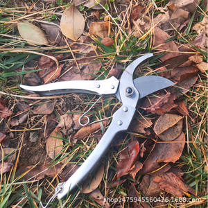 กรรไกรตัดแต่งกิ่งไม้ผลไม้ Mingzuan 195 ใบมีดสแตนเลส ขนาด 60 มม. เส้นผ่านศูนย์กลางการตัด 20-30 มม. สำหรับใช้ในสวน - Product Image 3