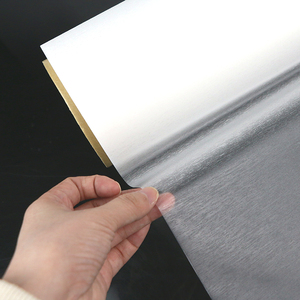 <span class=keywords><strong>Pellicola</strong></span> Termo-laminante in CPP Morbido Impermeabile con Colla per Sacchetti di Carta di Fascia Media-Alta - Product Image 3