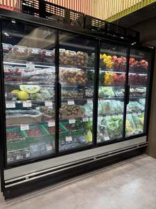 Congélateur vertical autonome à porte vitrée, réfrigérateur <span class=keywords><strong>commercial</strong></span> de présentation - Product Image 3