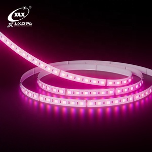 Tira de luces LED con WiFi inteligente de 24V, control remoto RGB, cuerpo de cobre colorido para iluminación decorativa de toda la casa - Product Image 3