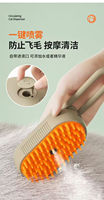 Brosse à vapeur 3 en 1, brosse à vapeur pour chat, brosse à eau pour animaux de compagnie, brosse électrique à vaporiser, brosse à massage pour chat, brosse à cheveux