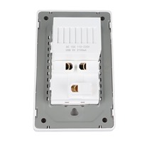 SLS 118 Type US Standard 15A Power Wall Socket Glass/PC Panel avec deux prises 2 Ports Type-C Chargeur USB 110-250V