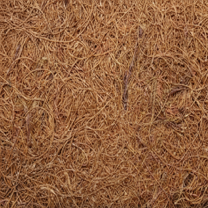 Fibre de noix de coco naturelle de haute qualité pour matelas brosses cordes tapis de culture paillis fibre de coco vente en gros de l'Inde - Product Image 1