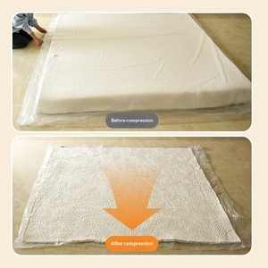Transparent PVC Storage <b>Bag</b> with Carry Handle Foldable T Shirt Packing <b>Bag</b> for Garment Transport - Product Image 2