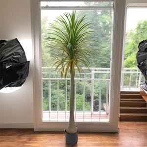 Vaso con Pianta Artificiale, <span class=keywords><strong>Orchidea</strong></span> da Interno, Piante in Vaso, Decorazione di Alta Gamma in Stile Nordico <span class=keywords><strong>per</strong></span> Soggiorno, Hall d'Albergo, Matrimoni - Product Image 5