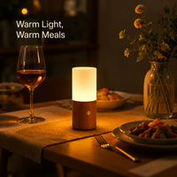 Lampe de chevet LED rechargeable en bois, blanc chaud, à changement de couleur RVB, avec contrôle tactile, intensité variable, pour chambre à coucher et décoration intérieure