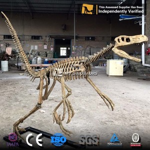 Mon Dino Mini Taille Dinosaure t-rex Squelette pour la Décoration <span class=keywords><strong>De</strong></span> La <span class=keywords><strong>Maison</strong></span> - Product Image 6