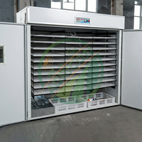 Incubateur d'œufs à commande automatique, taux d'éclosion de 98 % pour les œufs d'oie, d'autruche, de poulet, de canard, de caille - Acier inoxydable