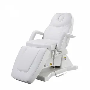 Cosmetic Extension Hydraulic Salon Therapy Chair Adjustable Massage Table Collapsible Tattoo Beauty Lash Electric Stretchers