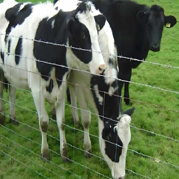 Game Fence.Livestock Gate Post 358 BOCN China Pig 235 Vinyl Posts Hot 1.5mx100m Tight Lock Knot Woven Metal Deer Fence for Farm