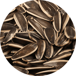 بذور دوار الشمس المطبوخة بالبهارات الخمسة 420 جرام وجبة خفيفة جاهزة للأكل بيع بالجملة - Product Image 1