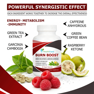 Cápsulas Burn Boost de Marca Privada ODM con Extracto de Té Verde, Suplemento Dietético que Promueve la Pérdida de Peso y Acelera el Metabolismo - Product Image 6
