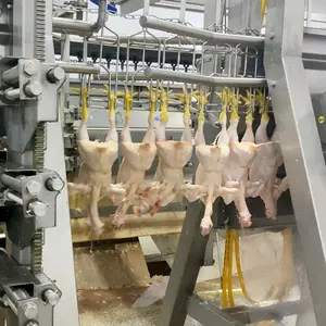Aves de corral pollo de equipo de procesamiento de planta vertical garra máquina de pelar