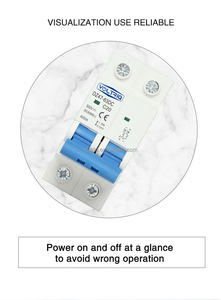 Прямая заводская цена 2P DC MCB 32A 40A 63A серии миниатюрный выключатель безопасности Электрический Disjoncteur Disjuntor Disyuntor - Product Image 3