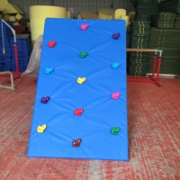 Haute qualité respectueux de l'environnement en plastique mur d'escalade pour les enfants