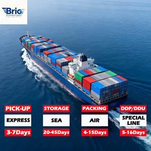 Envío Económico a EE. UU. desde China, Agente de Transporte Marítimo, Logística, Agente de Envío por DDP - Product Image 1