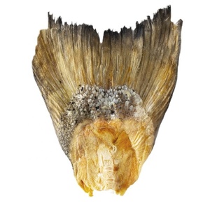 Golosinas para Perros de Cola de Salmón Liofilizada al por Mayor, Altas en Proteínas, Sin Granos, para Entrenamiento de Cachorros, Naturales y Sin Aditivos - Product Image 3