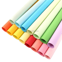 Papier Couleur Personnalisable 80g-230g, Format A4, Papier de Construction et Cartonnettes Colorés pour Loisirs Créatifs Enfants