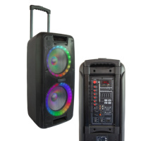 Enceinte PA à roulettes double 10 pouces 60W avec batterie intégrée 12V7AH, lumières RGB, microphones sans fil, télécommande, carte TF pour karaoké extérieur