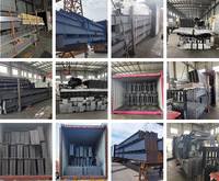 Sistema de Granja Avícola de Estructura de Acero Prefabricada Completamente Automática, Sistema de Cría de Pollos de Engorde de Alta Calidad, Avicultura a Gran Escala