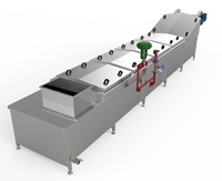 Volautomatische stoomtype blancheringsmachine Commerciële blancheringsapparatuur voor fruit en groenten