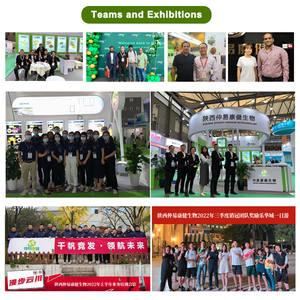 สารสกัดจากรากมันเทศป่า512-04-9 16% <span class=keywords><strong>95%</strong></span> 20% <span class=keywords><strong>95%</strong></span> สารสกัดจากมันเทศป่า <span class=keywords><strong>diosgenin</strong></span> ธรรมชาติ - Product Image 5